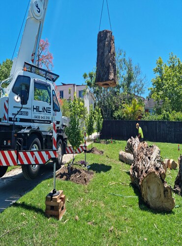 Large tree removal equipment SudburyArea ON