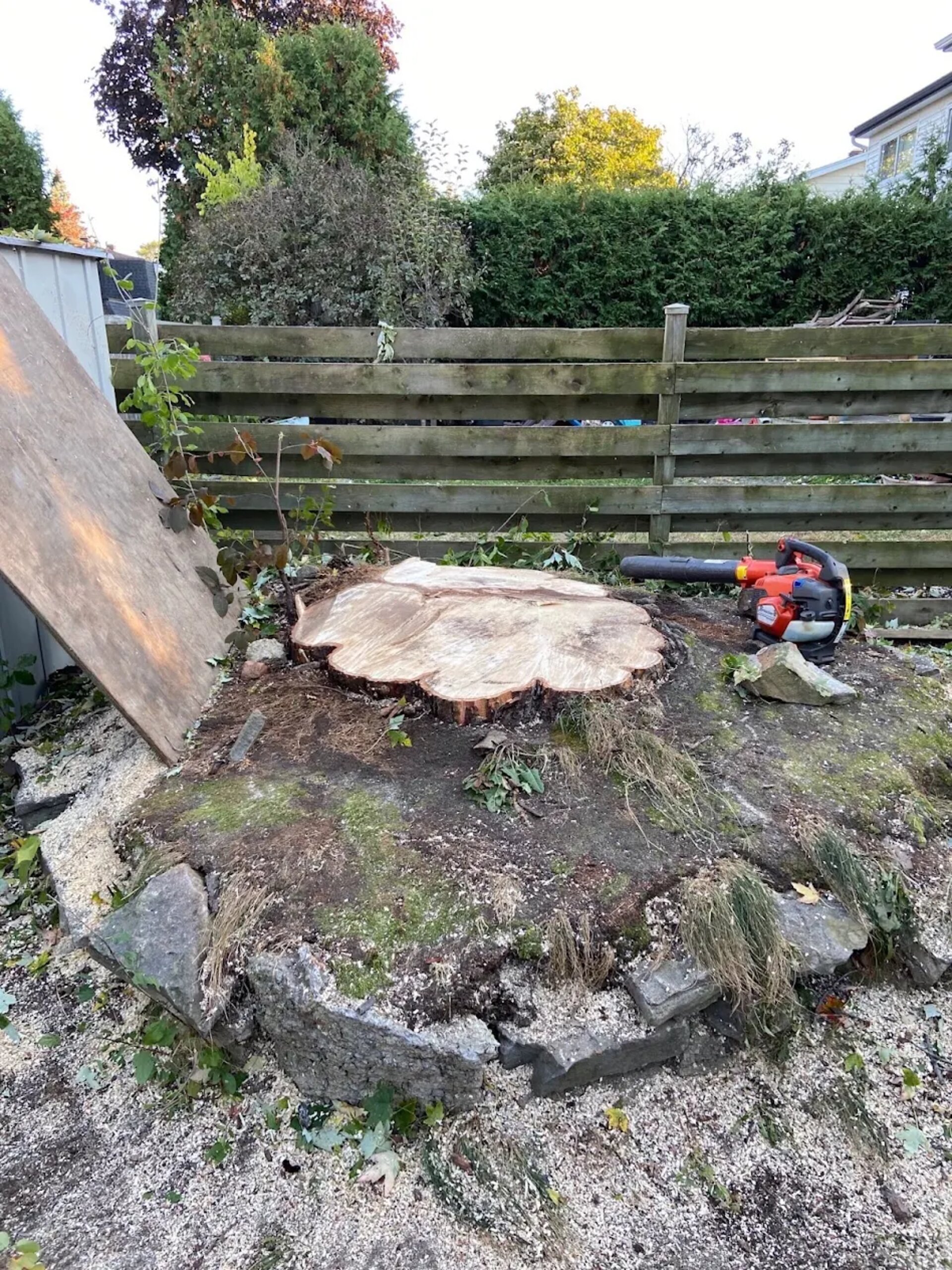 Tree Service SudburyOntario