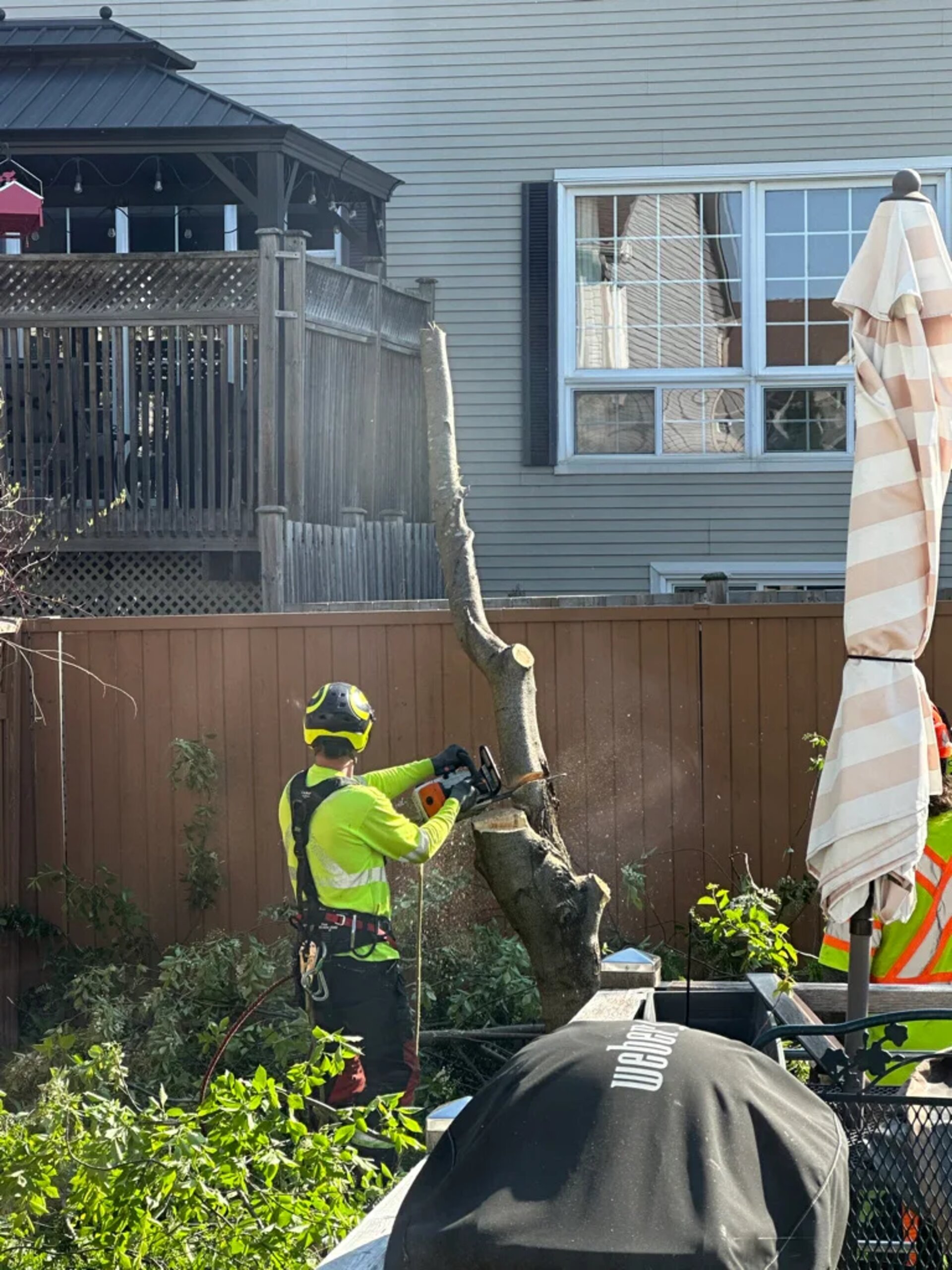 Tree Service SudburyOntario