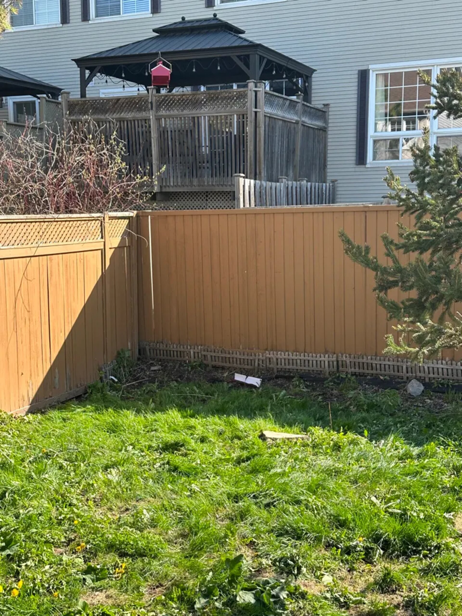 Tree Service SudburyOntario