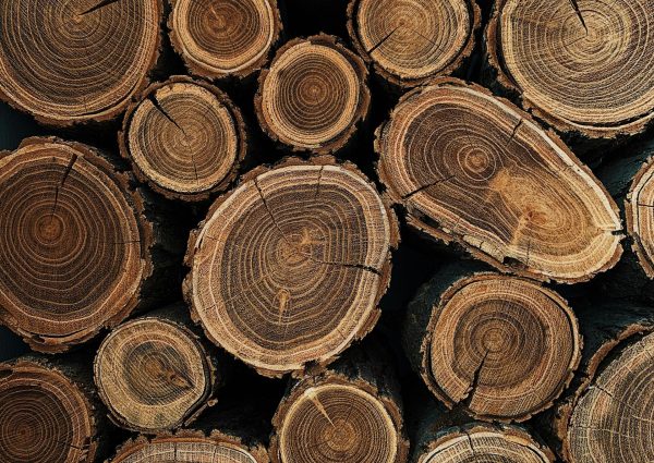 Stacked Woods after Tree Service SudburyON